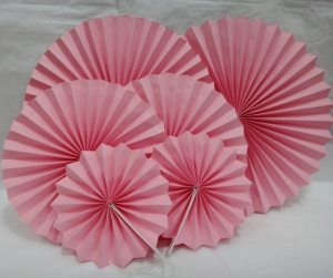 Набор гармошек ( 6 шт) .