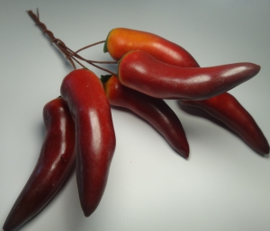 Перец на проволочке 038022(6 шт )