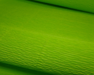 Бумага крепп  (50х250 см)  Цвет 558. Италия.