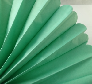 Нежно-салатовый помпон - 25 см (7547 )