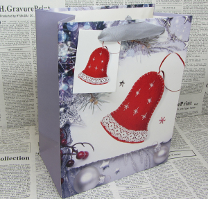 Пакет подарочный новогодний (24Х18Х10) 3д