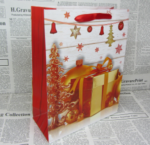 Пакет подарочный новогодний (24Х18Х10) 3д