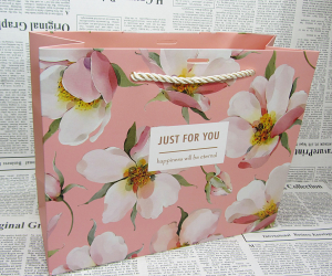 Пакет подарочный 82010 (26х19х10см )